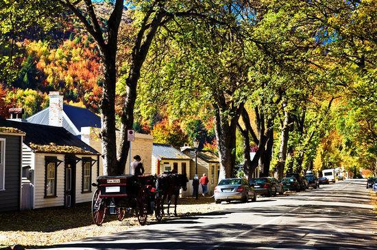 Park To Mountains Apartment Arrowtown Luaran gambar